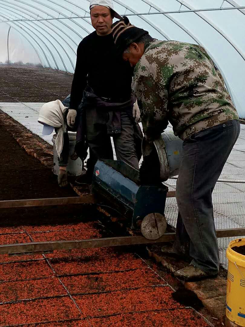 1491982767603284.jpg mmexport1491982354459.jpg