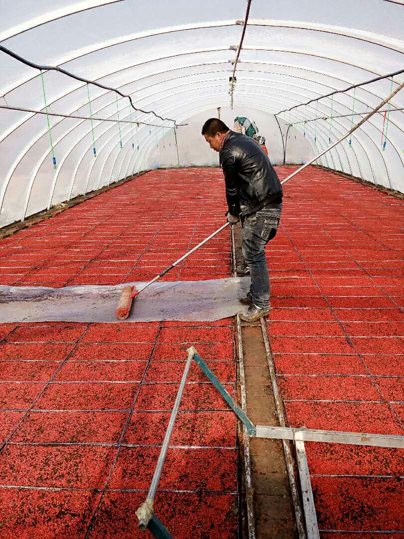 1491982821626784.jpg mmexport1491982360229.jpg